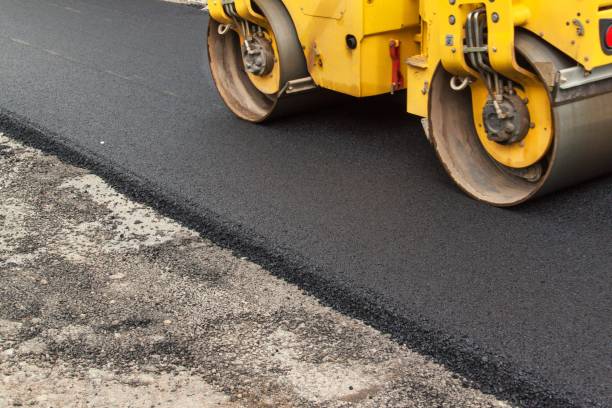 Best Professional Driveway Pavers  in Williston, SC